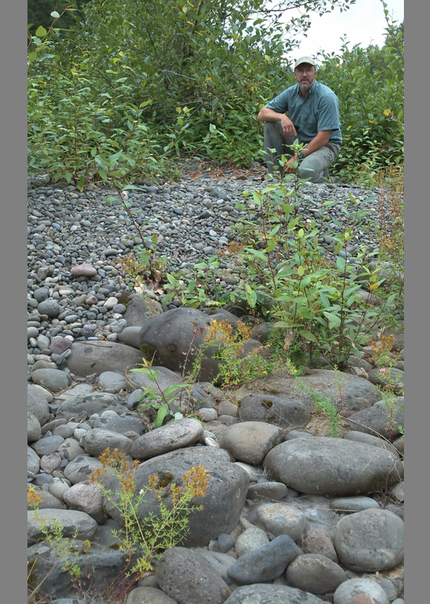 Spawning size gravel added to the Clackamas River (upper part of photo) in 2003.