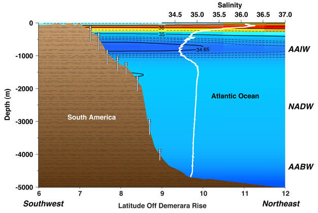 Schematic representation of a depth-transect of sediment cores in the tropical western Atlantic.