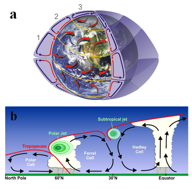 Simplified atmospheric circulation once the Coriolis effect is incorporated with the vertical circulation cells.