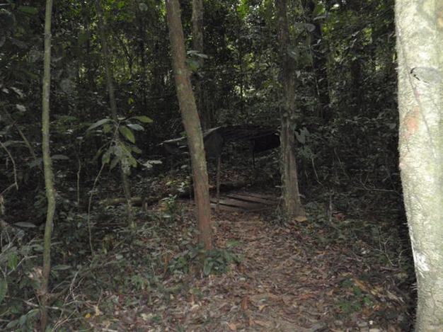 The latrine at the Ebo Forest Research Station.