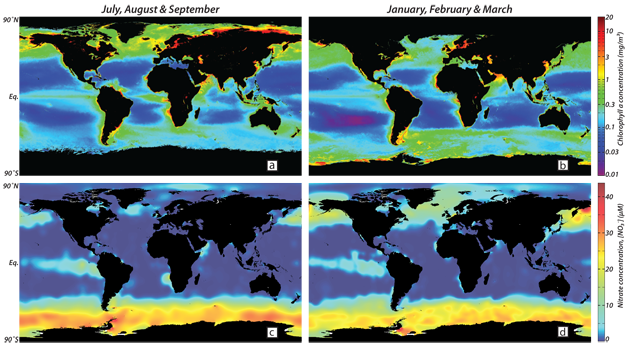 Composite global ocean maps of concentrations of satellite-derived chlorophyll and ship-sampled nitrate