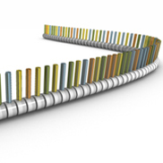 A schematic shows a horizontal, single-stranded region of DNA arranged on a white surface. The sugar phosphate chain that forms the backbone of the strand is depicted as a chain of segmented grey cylinders. Nitrogenous bases are represented as colored, horizontal rectangles protruding from each grey segment.