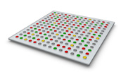 A microarray scan looks like a square grid containing 196 spots arranged in 14 columns with 14 rows. The spots are red, green, yellow, or grey against a white background.