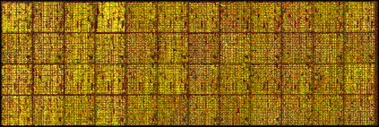 A photograph of real microarray chip data, arranged in a grid.  Multiple chips, such as the ones shown here, reveal expression data for an entire genome.