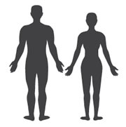 An illustration shows a human male and human female figure standing side-by-side in silhouette. They are standing with their backs facing the viewer. Both figures are in the anatomical position with their arms resting at their side, palms facing forward.