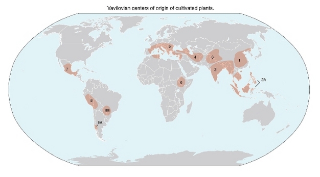 Vavilovian centers of origin of cultivated plants.