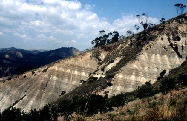 Photograph of late Miocene (9.3–8.4 Ma) sapropel bedding cycles from the Gibliscemi exposure in south central Sicily (Hilgen <I>et al.</I>, 1995; Krijgsman <I>et al.</I>, 1995).