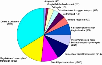 This pie graph depicts the mapping of differentially expressed transcripts to GO biological process categories. The graph shows the following data: apoptosis (0/2), oocyte/follicle development (2/2), cell cycle (1/5), oxidative stress and oxygen transport (4/5), ion transport (1/6), immune response (5/7), cell adhesion/interaction and cytoskeleton (1/9), protein/amino acid metabolism/transport and proteolysis (4/10), intracellular signal transduction (5/14), steroid/lipid metabolism (12/15), regulation of transcription/translation (6/22), and others and unknown (6/51).