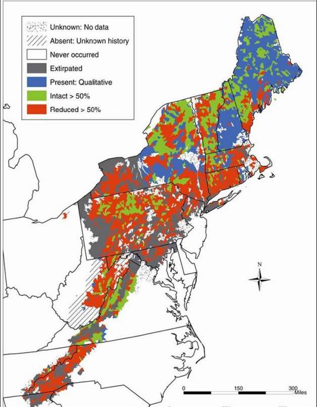 Map of current brook trout population status throughout their historic native range (Hudy <I>et al.</I> 2008).