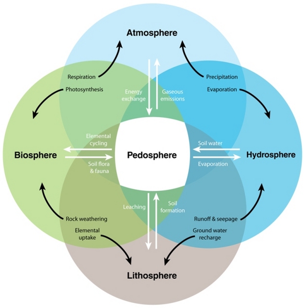 Interactive processes linking the pedosphere with the atmosphere, biosphere, hydrosphere, and lithosphere.