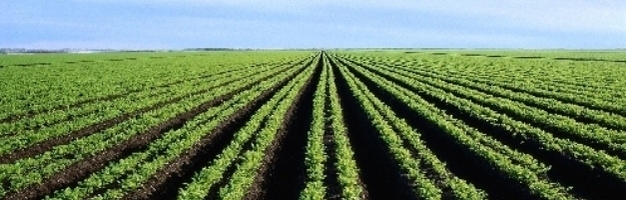puls Fonetik Kyst Soil: The Foundation of Agriculture | Learn Science at Scitable