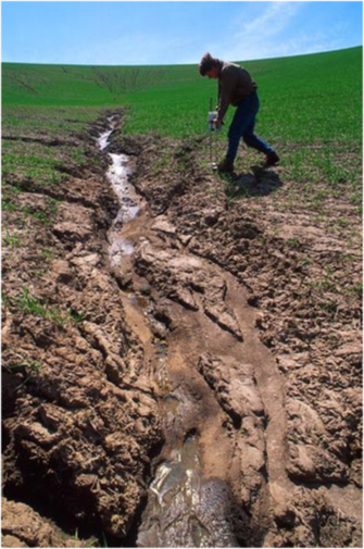 Damage to agricultural field in Washington (United States) resulting from water erosion.