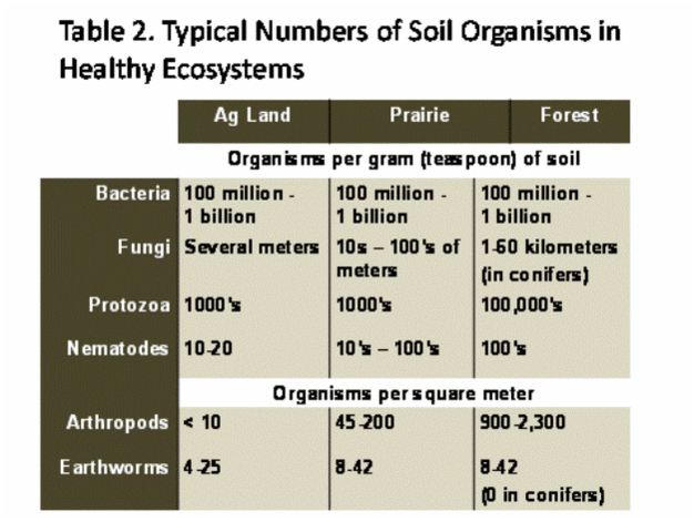 The Soil Biota | Learn Science at Scitable