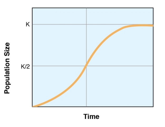 This curve describes logistic growth.