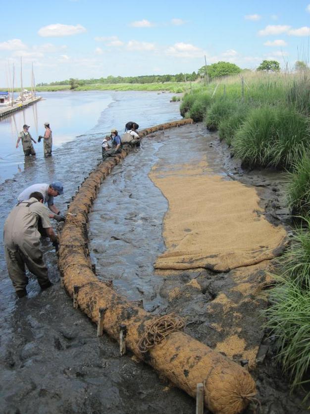 Tidal marsh protection and restoration on the Maurice River estuary, a tributary of Delaware Bay, near Bivalve, New Jersey.