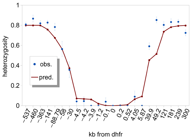 Patterns of genetic variation around the <i>Plasmodium</i> <i>falciparum dhfr</i> gene.